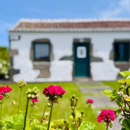 Casa Da By Pontanegraazores Holiday home Serreta